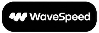 WaveSpeed logo extracted from Get Selectra client brand image